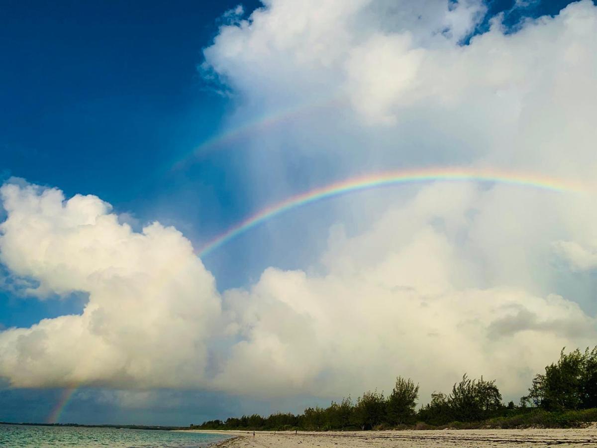 A Rocha Eco-Lodge & Conservation Centre Watamu Zewnętrze zdjęcie