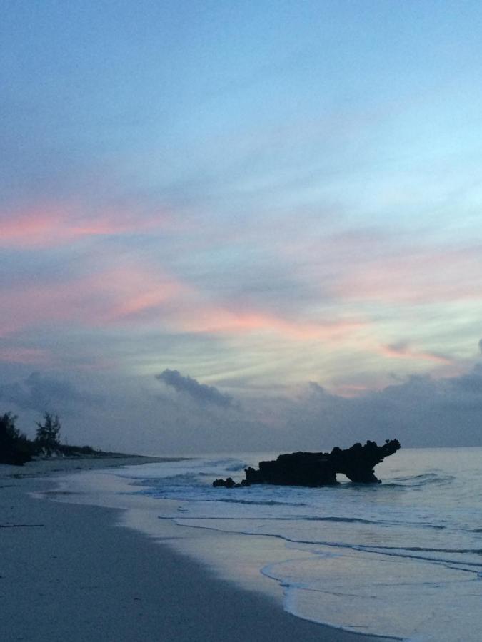 A Rocha Eco-Lodge & Conservation Centre Watamu Zewnętrze zdjęcie