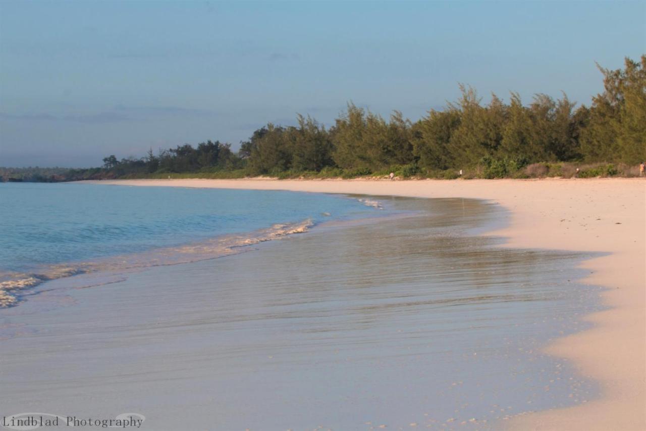 A Rocha Eco-Lodge & Conservation Centre Watamu Zewnętrze zdjęcie